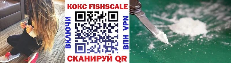 мега ССЫЛКА  Унеча  darknet как зайти  COCAIN Fish Scale 