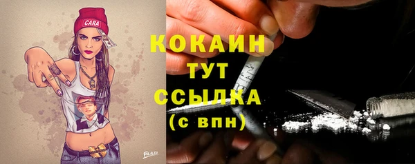 PSILOCYBIN Балахна