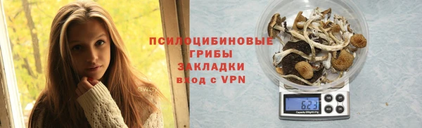 PSILOCYBIN Балахна