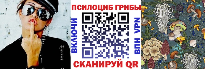 KRAKEN ONION  Унеча  Псилоцибиновые грибы прущие грибы  магазин  наркотиков 