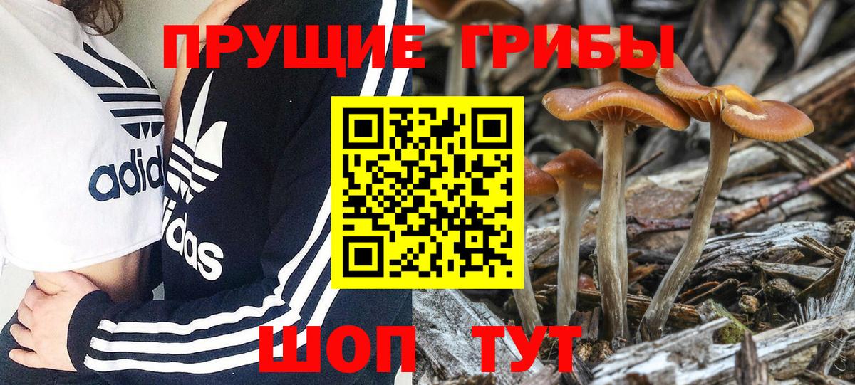 Метадон  Унеча  Вход с VPN  Конопля  МЕФ кристаллы  АМФ   МЕТАМФЕТАМИН 