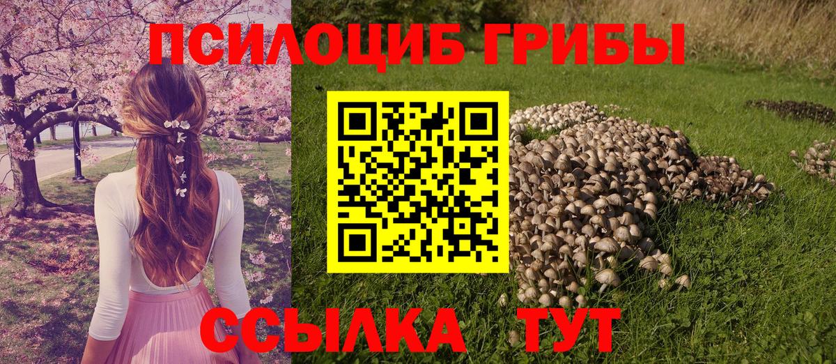 Галлюциногенные грибы ЛСД Унеча