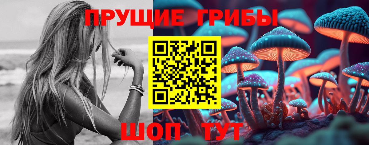 Псилоцибиновые грибы мухоморы  Псилоцибиновые грибы мухоморы  Вход с VPN  Унеча 
